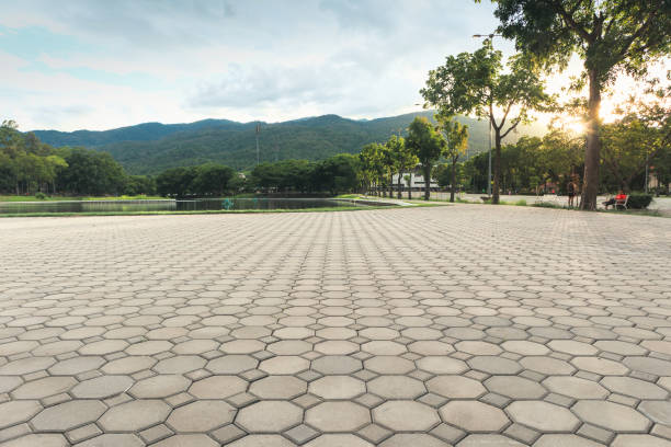 Best Commercial Driveway Pavers  in Agency Village, SD